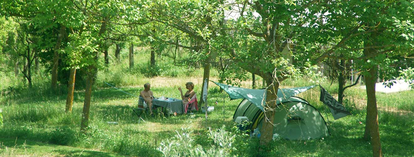 Tentplaatsen – photo 2
